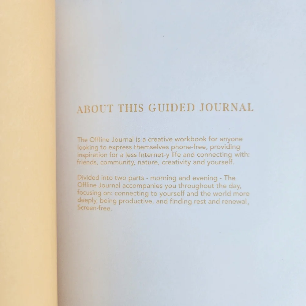 NWT Blue and Gold Guided Journal With 2 Bookmarks Morning/Evening Journal